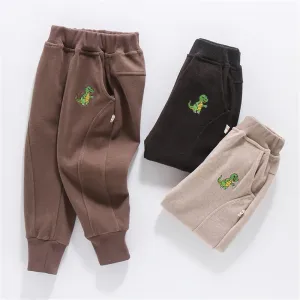 Boys Dinosaur Solid Pocket Pants