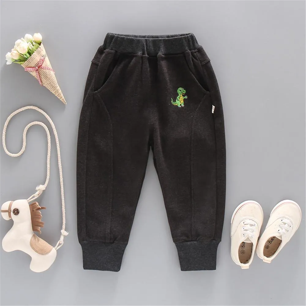 Boys Dinosaur Solid Pocket Pants