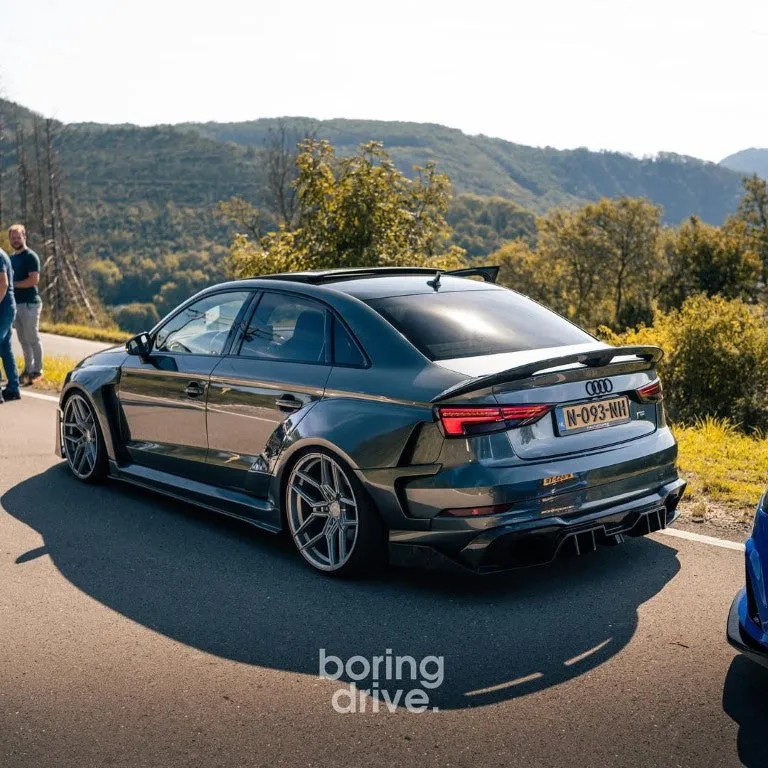 SPECTER PLUS Side Skirts for Audi RS3 8V.5 2018-2020 Carbon Fiber/FRP