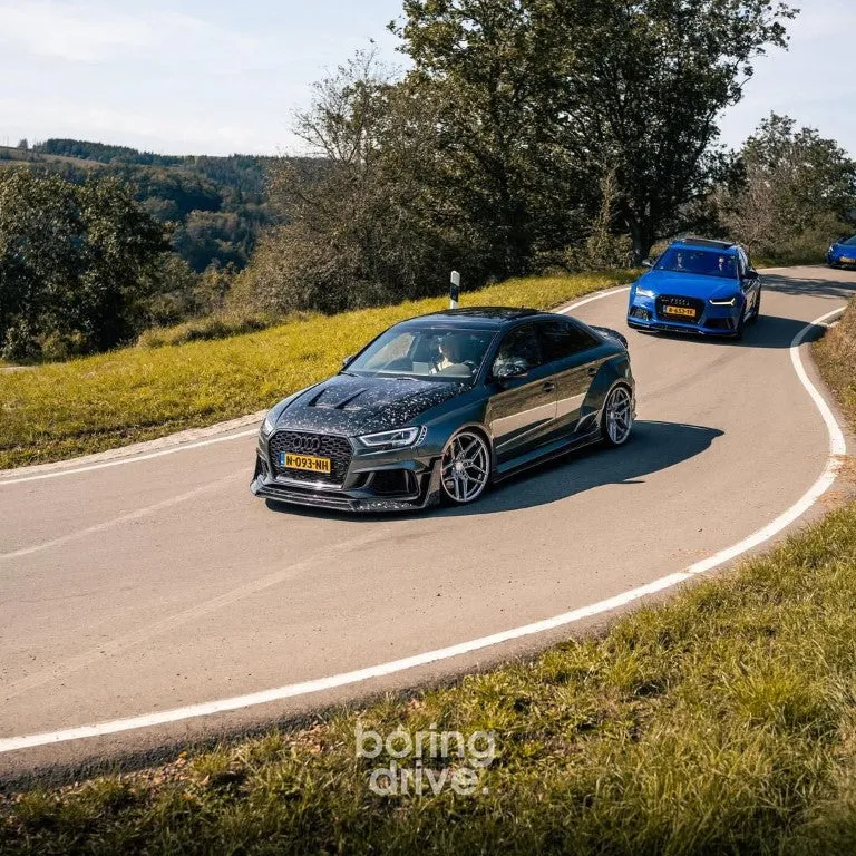 SPECTER PLUS Side Skirts for Audi RS3 8V.5 2018-2020 Carbon Fiber/FRP